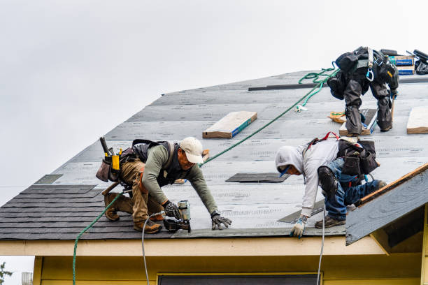 Professional Gutter Installation technician working in Hector, MN